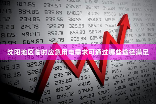 沈阳地区临时应急用电需求可通过哪些途径满足
