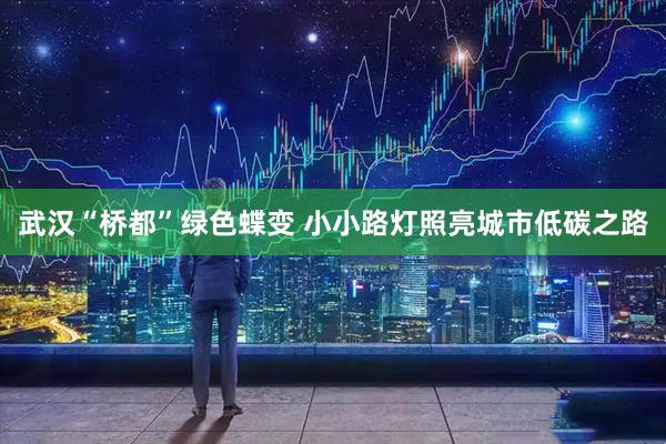 武汉“桥都”绿色蝶变 小小路灯照亮城市低碳之路