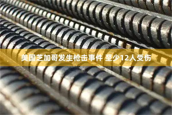 美国芝加哥发生枪击事件 至少12人受伤